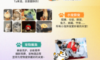 宠物爱好者请留意！第三届中部（湖南）宠物产业博览会定于五月末在长沙举行