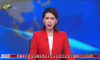 第六届中国国际消费品博览会海口开幕