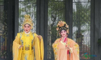 广州园亮相第十五届中国（温州）国际园林博览会