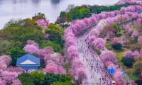 春日经济新图景｜奔跑催生的“春日经济”