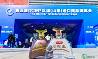 兰陵佳酿闪耀第五届RCEP区域（山东）进口商品博览会