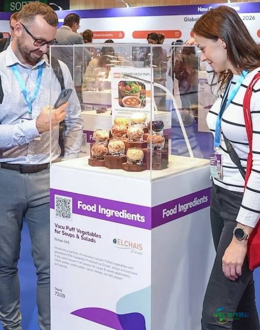 2026年德国法兰克福国际健康食品配料和天然配料展:推动食品创新与可持续发展