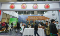 春日传信 茶乡有约 2026信阳茶业博览会正式拉开帷幕