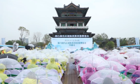 共促茶产业品质提升 第八届九江国际名茶名泉博览会启幕