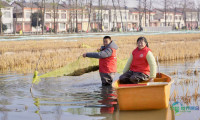 潜江积极执行省“虾十条”部署，推动龙虾全产业链实现持续高质量发展