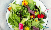 2027年新加坡新加坡城国际食品与酒店展览会：最受欢迎的可食用花卉