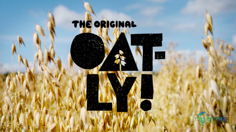 Oatly燕麦奶