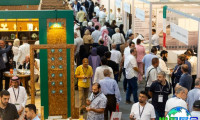 沙特木材展(Saudi Wood Expo)2026观展指南：时间地点/门票费用