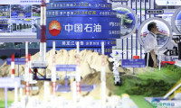 第十届中国与俄罗斯联合博览会迎来对公众开放日(28)