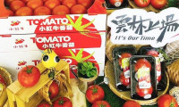 中国台北食品展 台湾软协展示多元产品