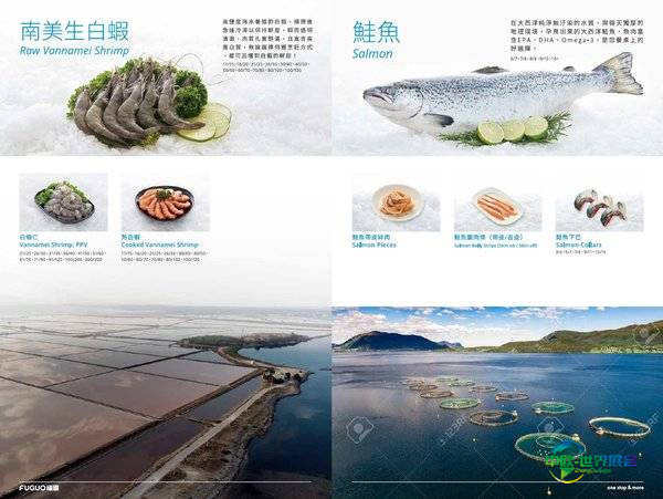 鹰牌冷藏企业亮相海峡两岸食品展，展现多元产品实力
