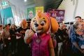 新手参加澳洲澳大利亚墨尔本玩具及品牌授权展览会(Australian Toy Hobby and Licensing Fair)展会：展位预约简化流程