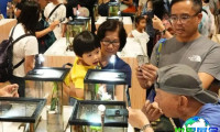 2026年香港宠物展将有哪些参展商？完整参展商名录一览