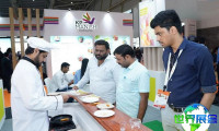 印度食品配料展览会(FI India)2026展位费用及布局图