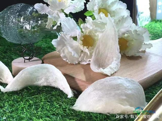 沪上聚力，燕启新篇 ——2026第九届上海燕博会全球招商盛大启动