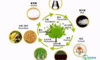 碧嘉材料首度亮相Interfoam发泡材料展会，将呈现聚乳酸、PBAT、PBS等生物基改性发泡材料及其制品方案