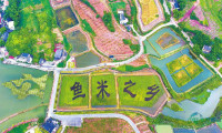 内江市：龙头企业带动、三产业融合，全面促进农业增效与农民增收