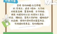 【市集招募】有机消费迈入"质价比"时代，特色市集成品牌破圈新阵地 | BIOFACH CHINA邀您共赴一场"可持续"之约
