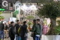中东迪拜花卉与园林景观展览会(Myplant &amp; Garden Middle East Green Expo)2026年参展指南