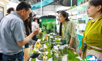 中国国际茶叶博览会-杭州茶博会(TEAEXPO)参展商名单