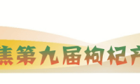 聚焦第九届枸杞产业博览会|第九届枸杞产业博览会在中宁县拉开帷幕