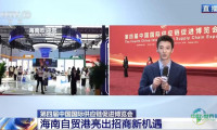 链博会进入第二天 海南自贸港推出招商新机遇