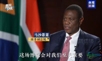 详细解读丨南非副总统为何连续两年参加链博会？