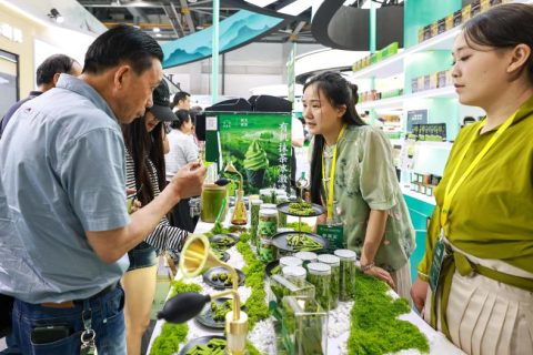 深圳茶博会-深圳国际秋季茶产业展展会现场图片