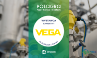 通过VEGA测量技术实现最大过程控制