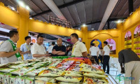 2026福建漳州（龙海）食品博览会盛大开幕
