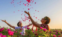 点燃“美丽经济”，新疆天然原料正融入你的化妆品