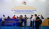 中亚进出口博览会聚焦多元化经贸往来(1)