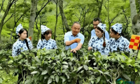 罗大友：以体系化理论创新赓续中华茶文明