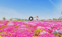 “文旅+”跨界融合添动能 催生消费新场景