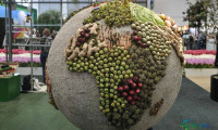 2027年德国柏林国际绿色周展览会一月举办 汇聚农业花卉美食动物主题展览