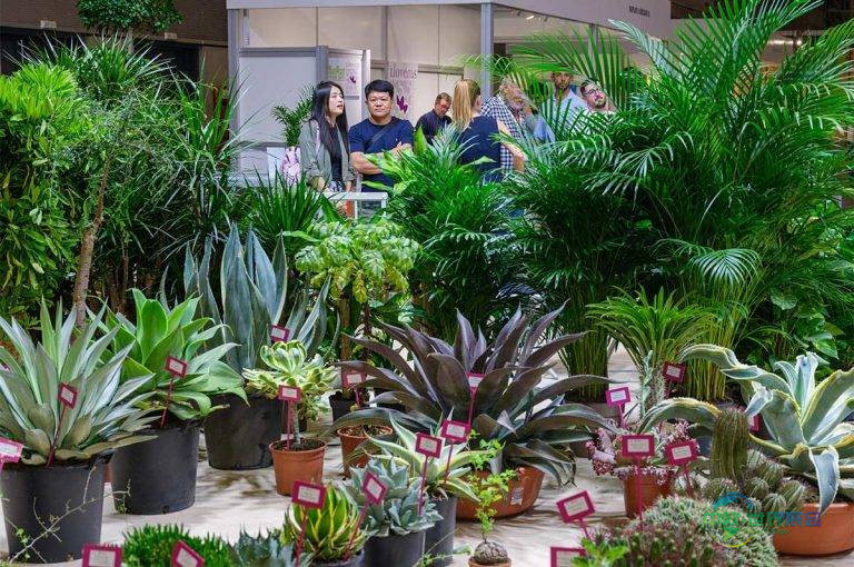 西班牙瓦伦西亚国际园艺和技术展览会：Iberflora加强国际拓展 覆盖37个市场买家