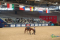 法国里昂国际马术展览会 EQUITA LYON 2026精彩预告