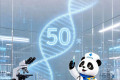 50天倒计时！