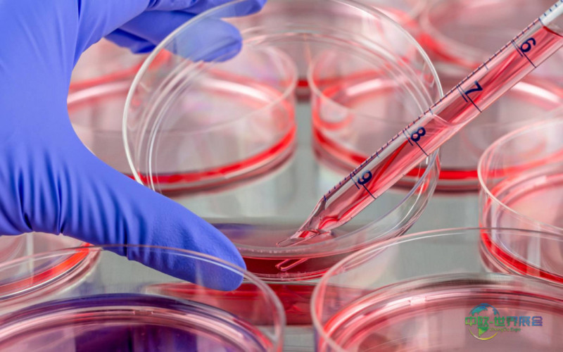 荷兰乌特勒支国际工艺设备自动化博览会：生命科学成世界实验室展核心议题