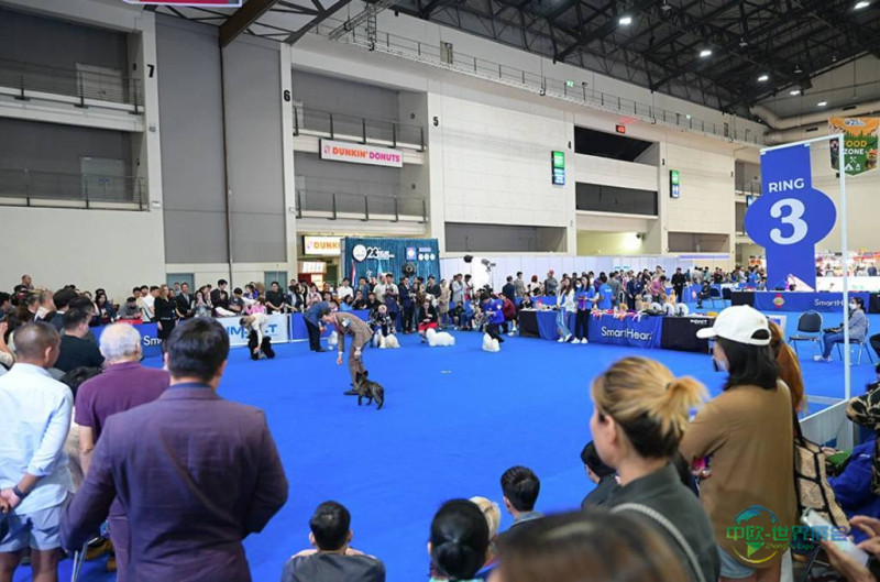 2025年泰国曼谷国际犬展览会:冒险之旅