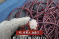 男子高空作业降至30楼时，安全绳竟遭2楼老人剪断！当事人：老人打算拿它当晾衣绳