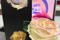 俄罗斯圣彼得堡国际专业化妆品及美容仪器展览会：Aroma-Garden将展出新一代芳香香囊