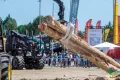 INTERFORST 2026规模扩大，聚焦实践形式