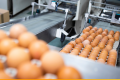 曼谷国际食品加工机械包装展聚焦Food Pack Asia 2027：AI驱动食品工厂转型