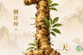 仅剩1天丨盛会即将开启！2026浙江省中药材博览会恭候您的到来