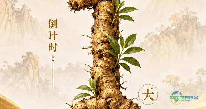 仅剩1天丨盛会即将开启!2026浙江省中药材博览会恭候您的到来