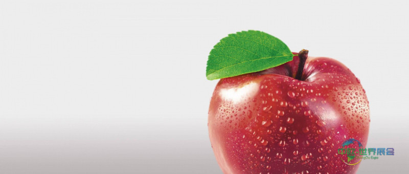 莫斯科食品加工配料展 Agroprodmash 2026制冷会议探讨有效解决方案