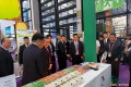 缅甸大米参展第23届中国—东盟博览会
