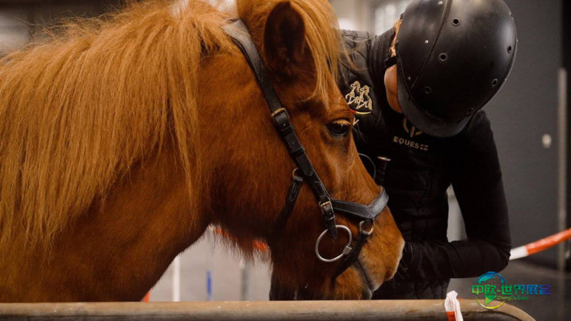 德国汉诺威国际马术运动、狩猎、捕鱼展览会：PASSION PFERD 2026设VITALWELT专区